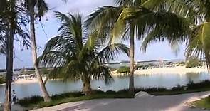 Florida 2000, Part 1, Video