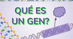 ¿Qué es un GEN?