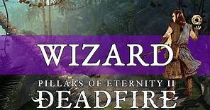 Pillars of Eternity 2 Deadfire Guide: Wizard