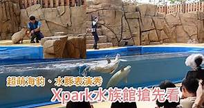 桃園Xpark水族館搶先看 Ep2！與眾同樂動物表演秀，超萌海豹、水豚打招呼