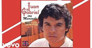 Juan Gabriel - Me Gusta Estar Contigo (Cover Audio)