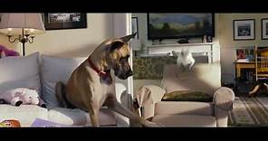 Marmaduke - In Theaters June 4! | Official Trailer (HD) | 20th Century FOX