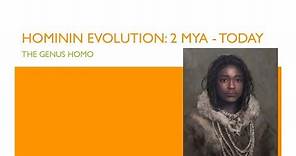 Hominin Evolution, Part 2: The Genus Homo
