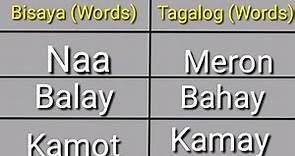 Bisaya to Tagalog Word Translation
