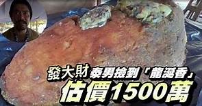 發財了 撿到極珍貴「龍涎香」 估價1500萬 | 台灣蘋果日報