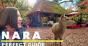 NARA🇯🇵 Top 7 things to do in Nara in Autumn🦌🍁 Day trip from Kyoto🚃 Japan travel vlog