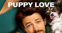 Puppy Love streaming: where to watch movie online?