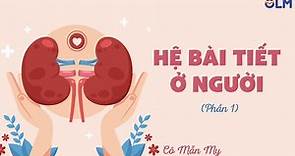 Hệ bài tiết ở người (phần 1) - Khoa học tự nhiên 8 - OLM.VN