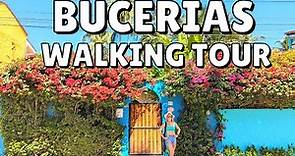 Bucerias Walking Tour (30 Minutes from Puerto Vallarta, Mexico)