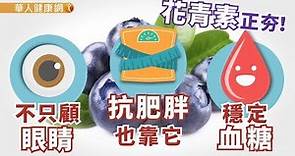 【華人健康網】健康小學堂 - 花青素正夯！不只顧眼睛，穩定血糖、抗肥胖也靠它