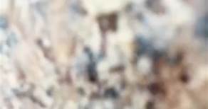 Gustav Vigeland, fue uno de los escultores más importantes de Noruega. El artista consagro las últimas dos décadas de su vida al parque de las esculturas de Oslo. El protagonista del parque es un monolito de granito de 17 metros de altura, en la que hay 121 figuras humanas. 🪨🗿 Es muy impresionante estar allí. 🫶🏻 #Monolito #Vigeland #Oslo #Noruega #Europa #Escandinavia
