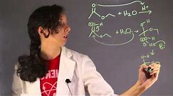 Explanation of Hydrolysis in Chemistry : Chemistry Help