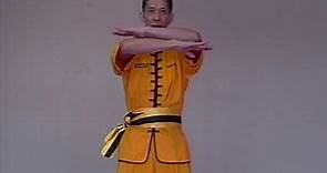 Wing Chun: Lesson 3