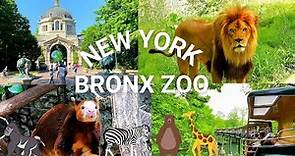 NYC Bronx Zoo Highlights | Exploring One of the Best Zoos in the United States