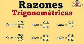 Razones trigonométricas | Explicación desde cero con ejemplos