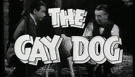 The Gay Dog 1954 Trailer