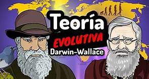 TEORÍA DE EVOLUCIÓN Darwin y Wallace⚡La selección natural [fácil y rápido en 5 minutos]