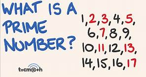 What is a prime number?