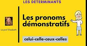 Les pronoms démonstratifs en français. Celui-celle-ceux-celles..Niveau A2