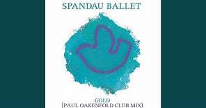 Gold (Paul Oakenfold Club Mix)