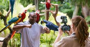 Jungle Island Miami - tickets, prices, hours, how to reach, things to do
