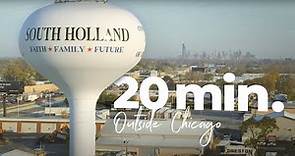 The Village of South Holland by the Numbers