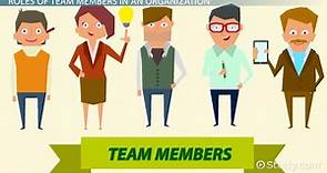 Team Members in an Organization: Roles, Responsibilities & Characteristics
