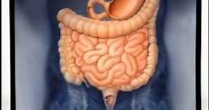 Introduction to Gastroenterology
