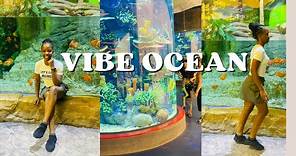 Lotte World Aquarium Hanoi- Vietnam