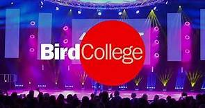 Bird College - Move It 2022 | Matt Nicholson