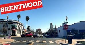 BRENTWOOD CALIFORNIA, ( Driving Downtown ) 4K