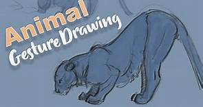 Drawing Animal Gestures and Anatomy