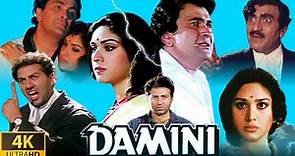 Damini 1993 Full Movie | Meenakshi | Damini Sunny Deol | Rishi Kapoor |Amrish Puri | Facts & Review
