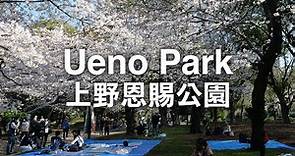 上野恩賜公園(Ueno Park )的櫻花