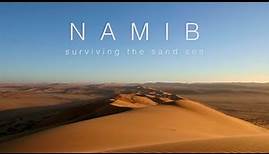 Namib: Surviving the Sand Sea Documentary