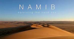 Namib: Surviving the Sand Sea Documentary