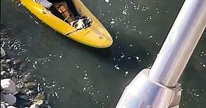 The L.A. River, In a Kayak? | SoCal Wanderer | KCET