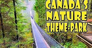 Capilano Suspension Bridge Park: Vancouver's Best Attraction