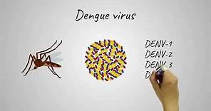 Novel approach to vaccine for dengue virus