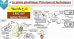 Le génie génétique principes et techniques svt 2 bac svt option français (شرح بالداريجة)