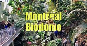 [4K] The Biodôme of Montreal, an Immersive and Multisensory Experience