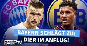 Dier vor Unterschrift beim FC Bayern – BVB holt Sancho zurück | TRANSFERMARKT