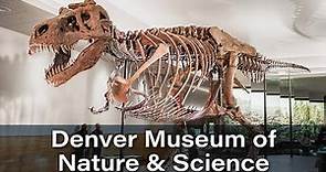 Denver Museum of Nature & Science, Denver, Colorado