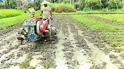My Power Tiller Is Going To Second Cultivation || Kamco Tiller || Rainy season