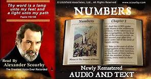 4 | Book of Numbers | Read by Alexander Scourby | AUDIO & TEXT | FREE on YouTube | GOD IS LOVE!