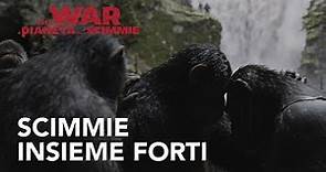 The War - Il Pianeta delle Scimmie | Scimmie insieme forti Spot HD | 20th Century Fox 2017