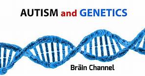 Autism and Genetics