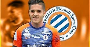 Wajdi Kechrida - Welcome to Montpellier ? - Skills, Goals & Assists - 2017/2019
