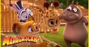 DreamWorks Madagascar en Español Latino | Vamos a animar a Melman! | | Madagascar: Algo Salvaje