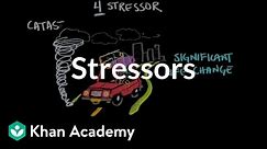 Stressors | Processing the Environment | MCAT | Khan Academy
